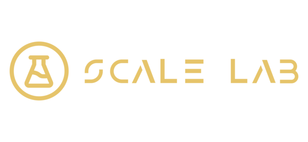 Scale Lab — Agencia de Growth Digital para Ecommerce en Chile